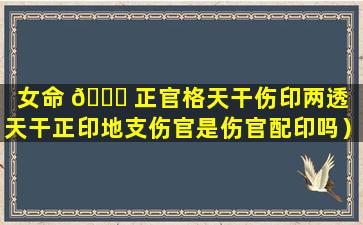 女命 🐒 正官格天干伤印两透（天干正印地支伤官是伤官配印吗）